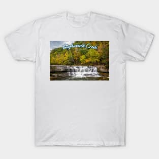 Taughannock Creek Tompkins County New York T-Shirt